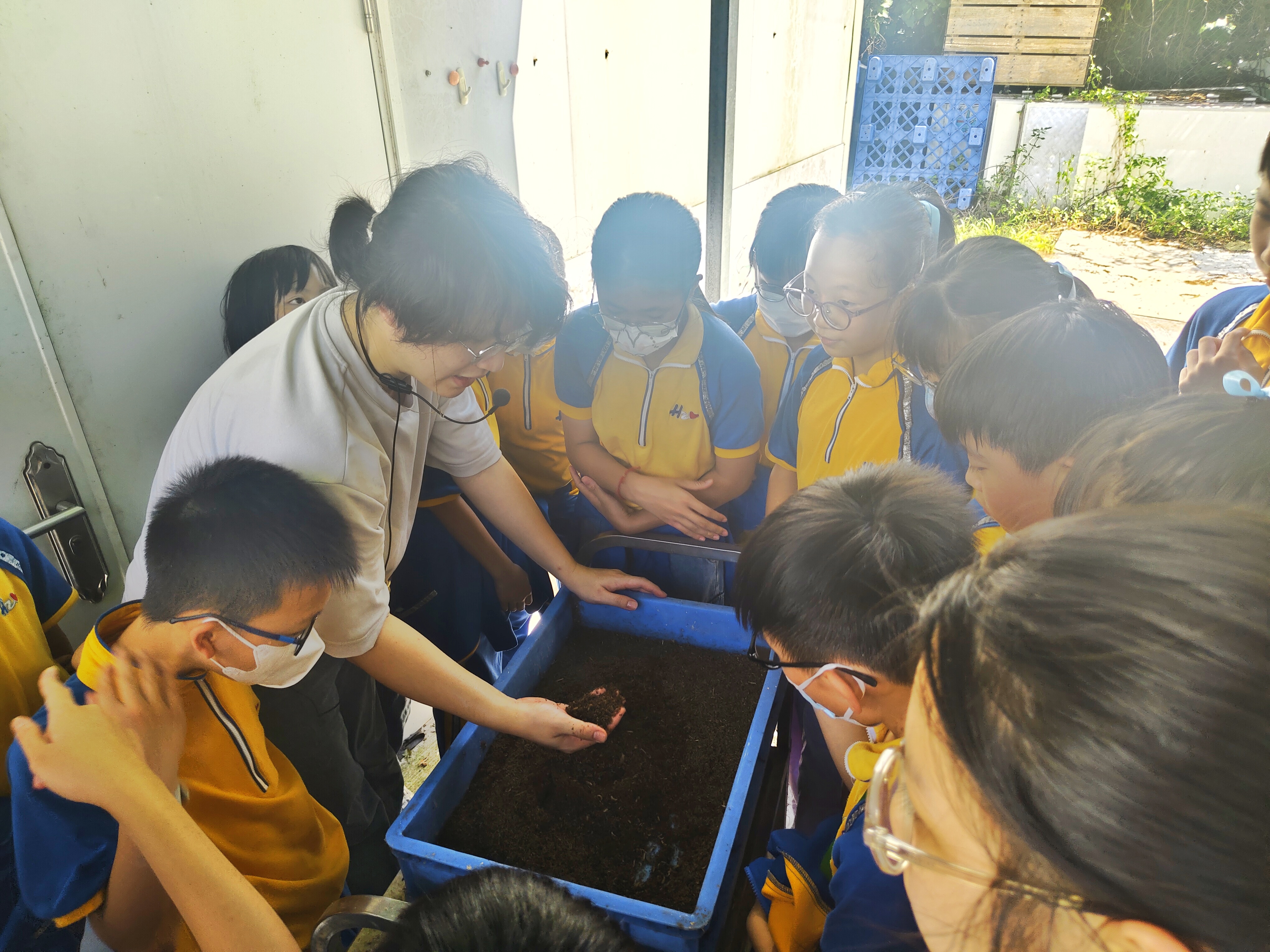 Students observing BSF larvae